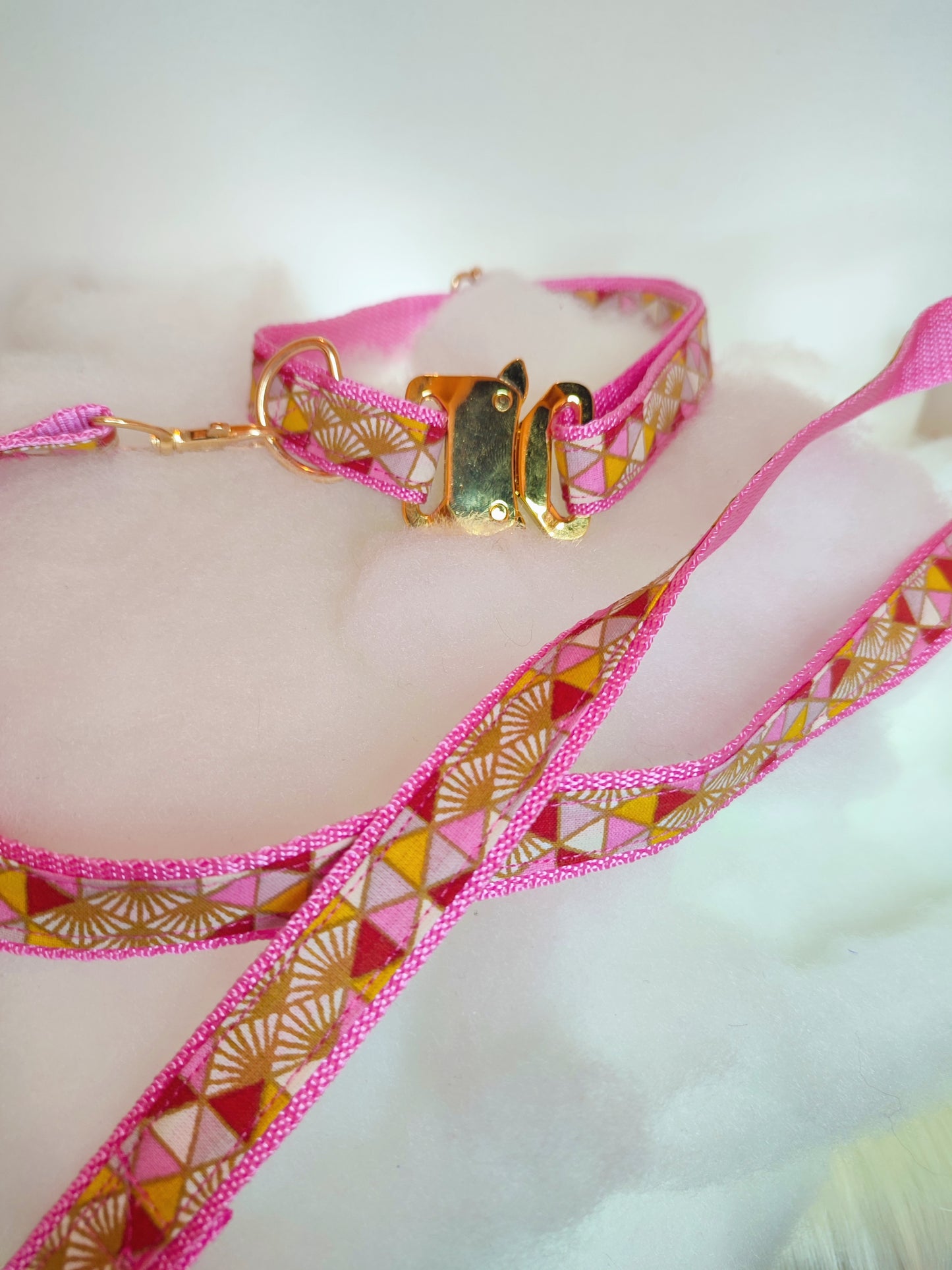 Ensemble collier-laisse sangle coloré