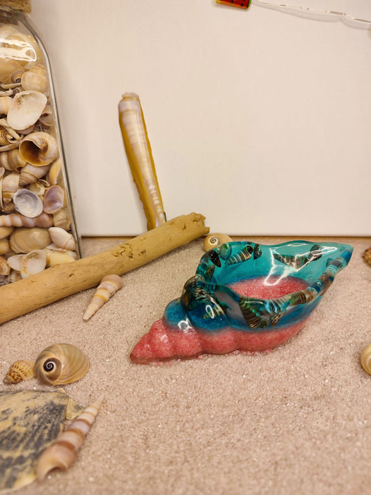 Coquillage escargot personnalisable