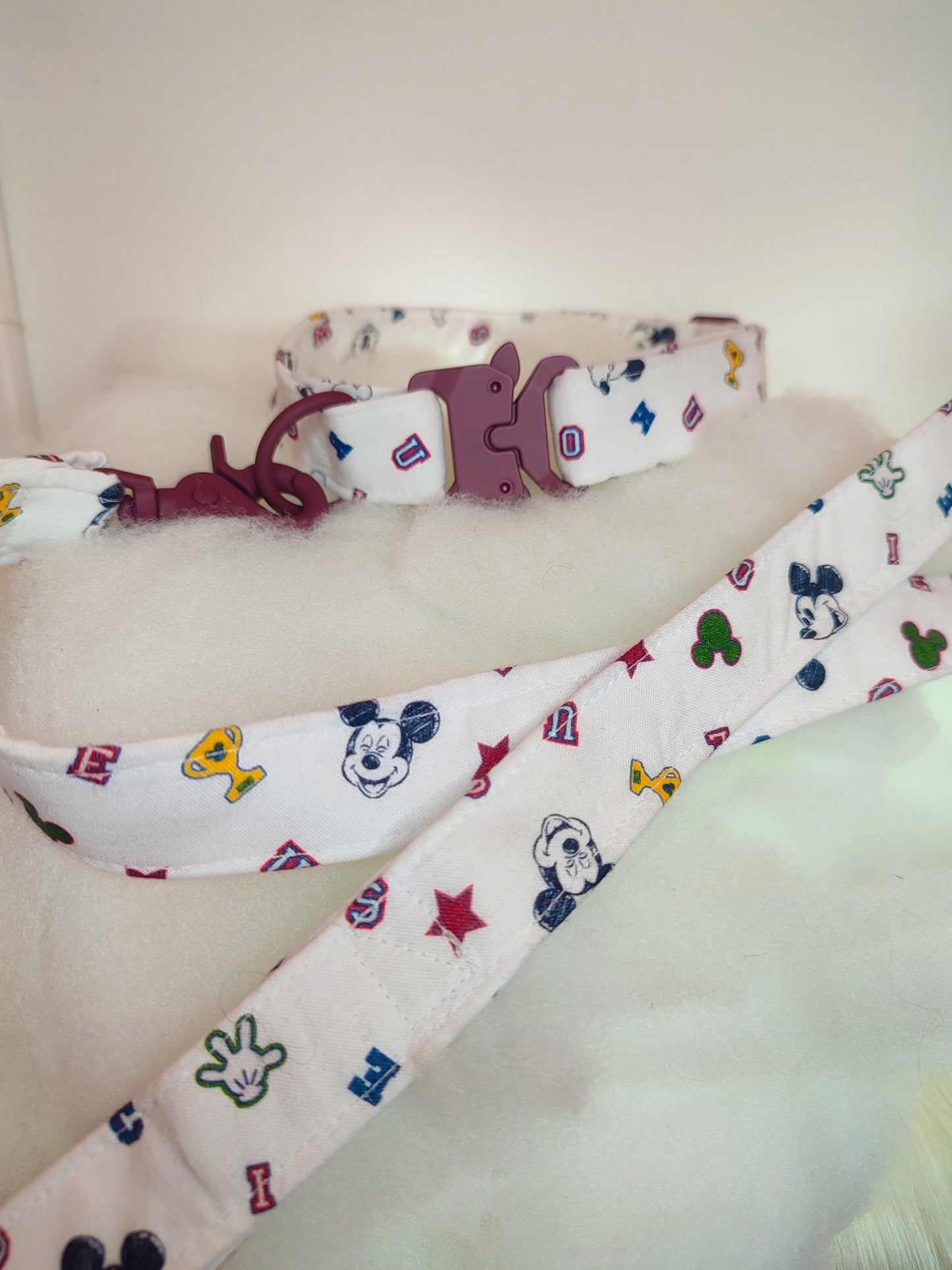 Ensemble collier-laisse avec mousqueton en métal-silicone coloré