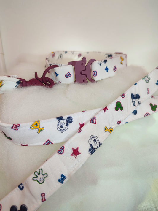 Ensemble collier-laisse avec mousqueton en métal-silicone coloré