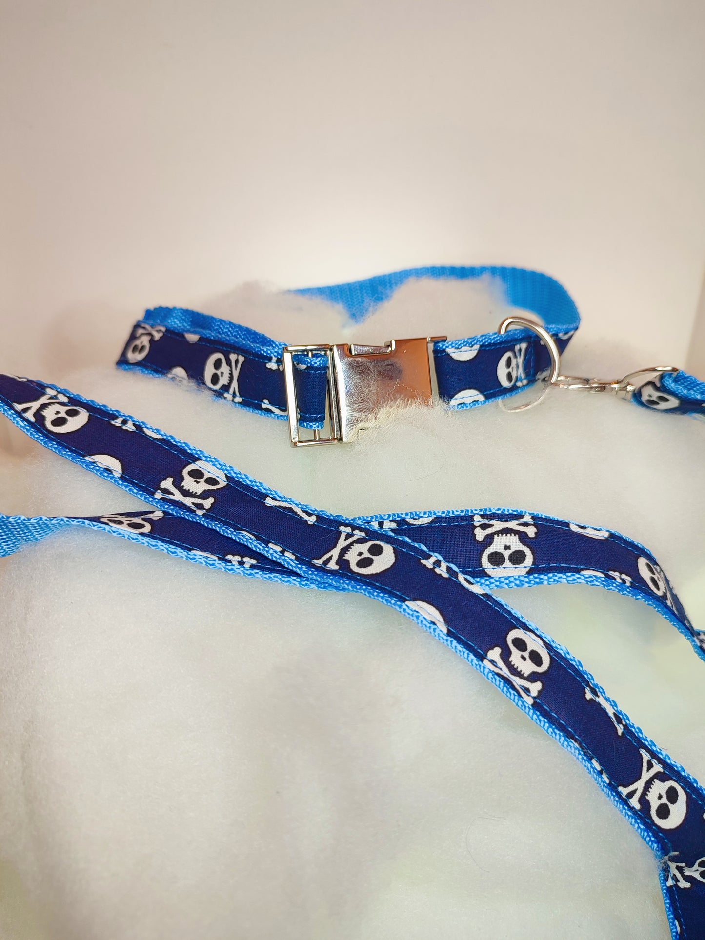 Ensemble collier-laisse sangle coloré