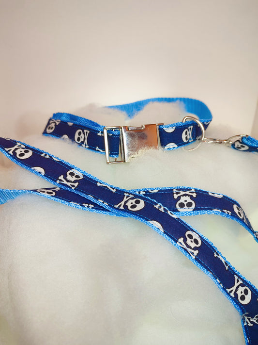 Ensemble collier-laisse sangle coloré