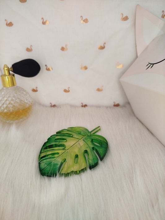 Petite feuille monstera