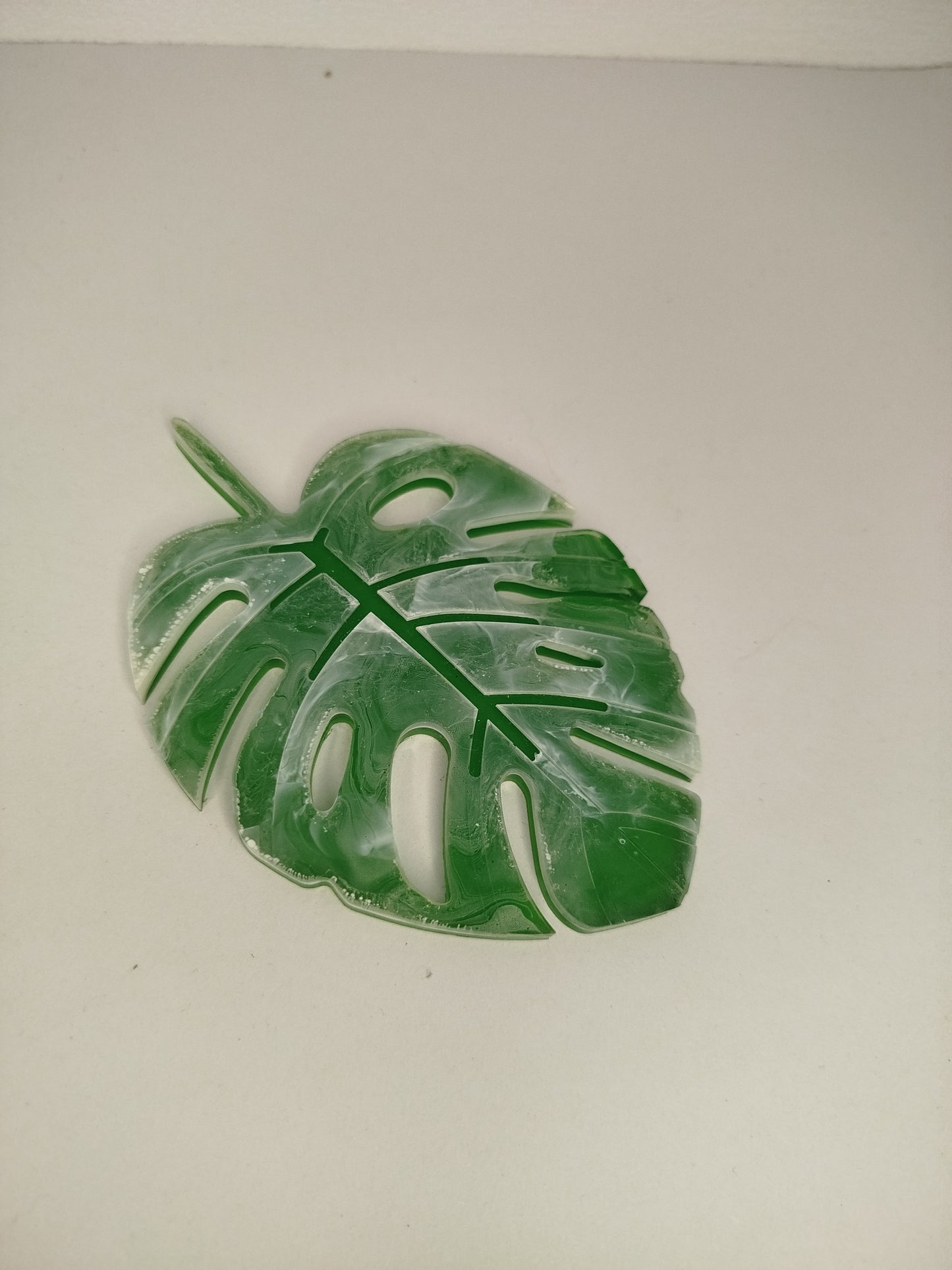 Monstera raté