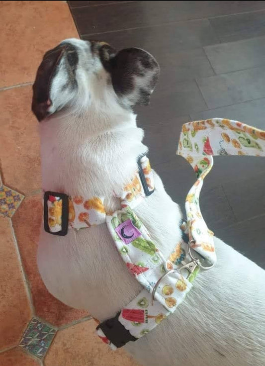 Ensemble harnais et laisse personnalisable