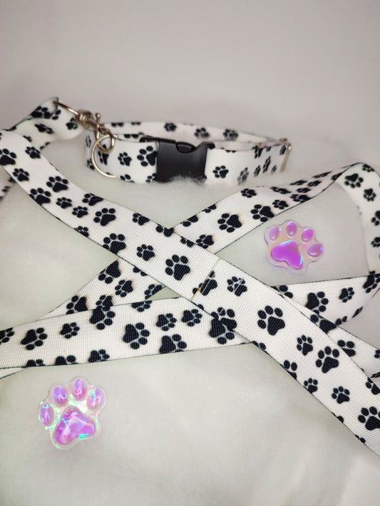 Ensemble collier-laisse tout en sangle